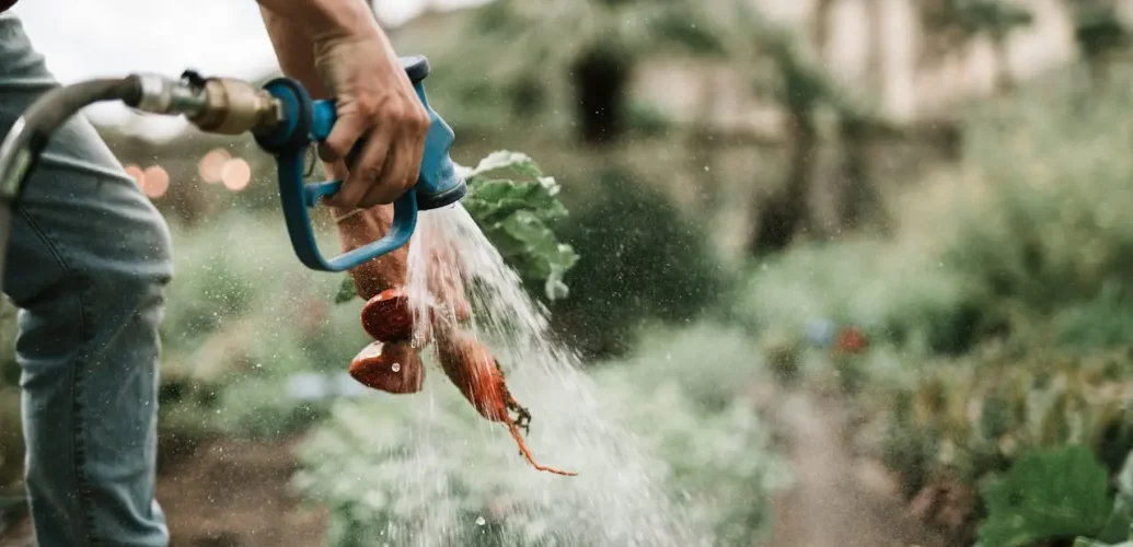 Manajemen Agribisnis bagi Pemula Tips Tingkatkan Penjualan Pertanian