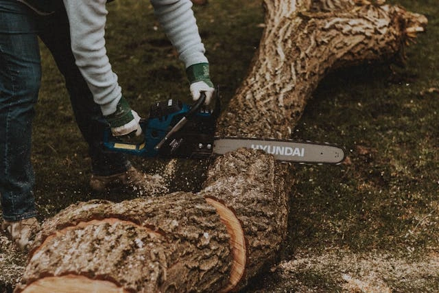 Teknik Dasar Pengoperasian Chainsaw yang Aman